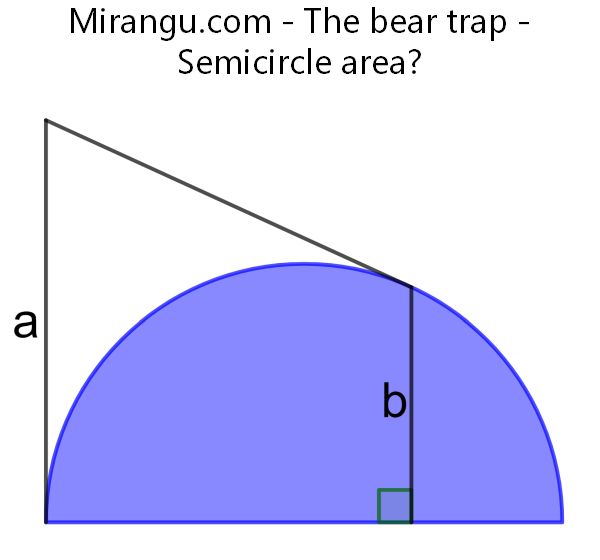 The bear trap
